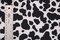 1 Yard Black and White Cow Print Stretch Fabric for Costume Swimwear Dancewear and Activewear 58/60" Width
